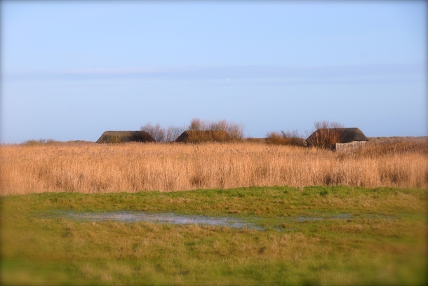 Hides, Cley Marshes, 2013 Photo: Hanne Siebers