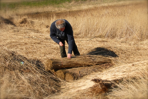 Klausbernd Vollmar, reeds, 2013 Photo Hanne Siebers
