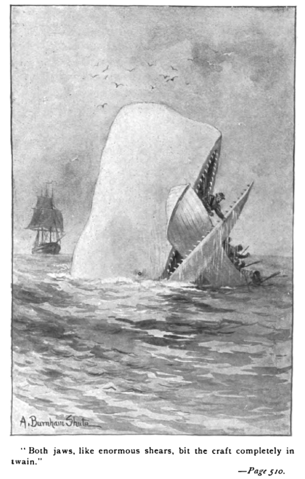 Moby Dick - illustration of an early edition (not R.Kent, but impressive)